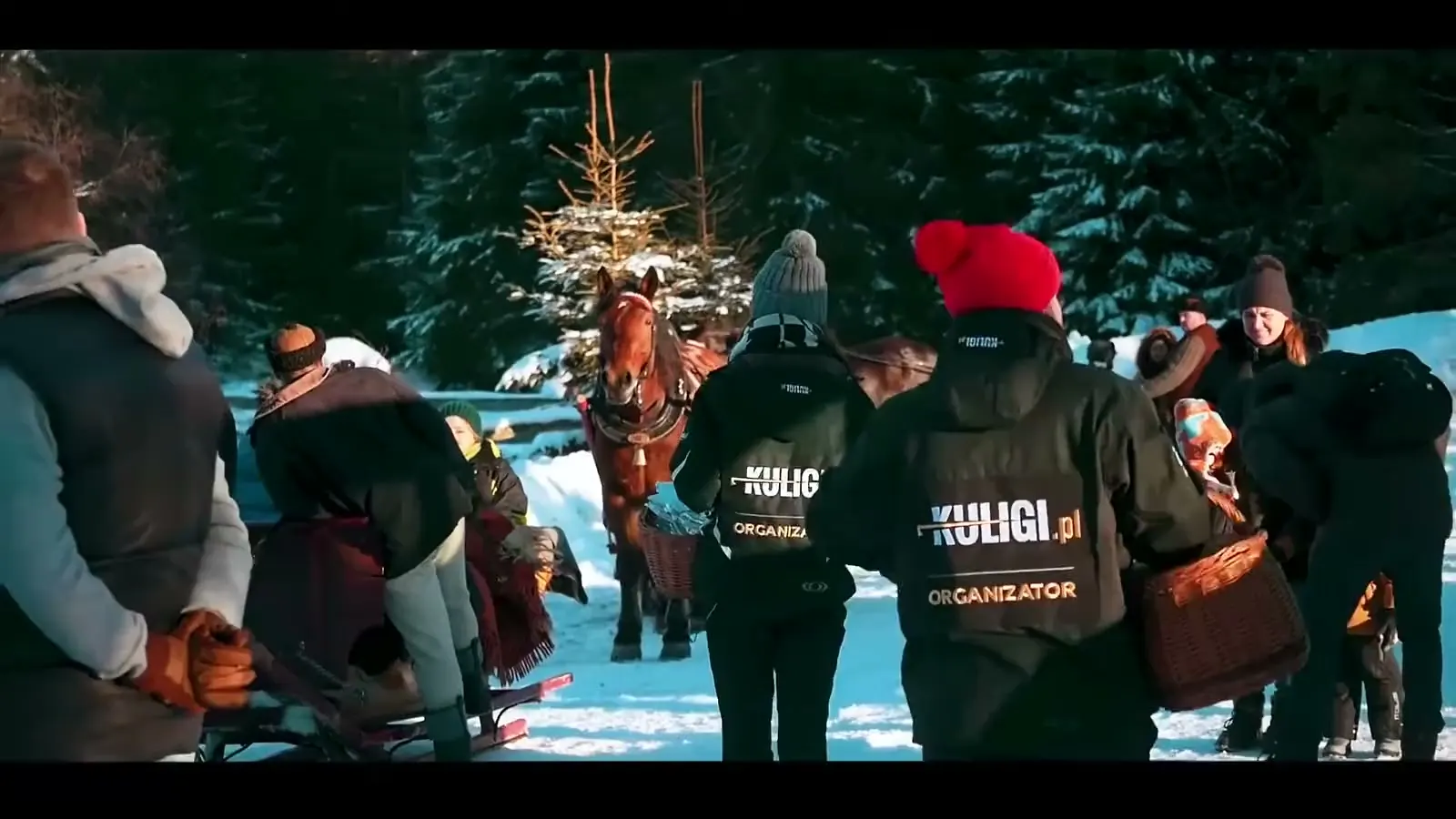 Torchlit night sleigh ride through a snowy forest - Kuligi.pl, Chocholowska Valley