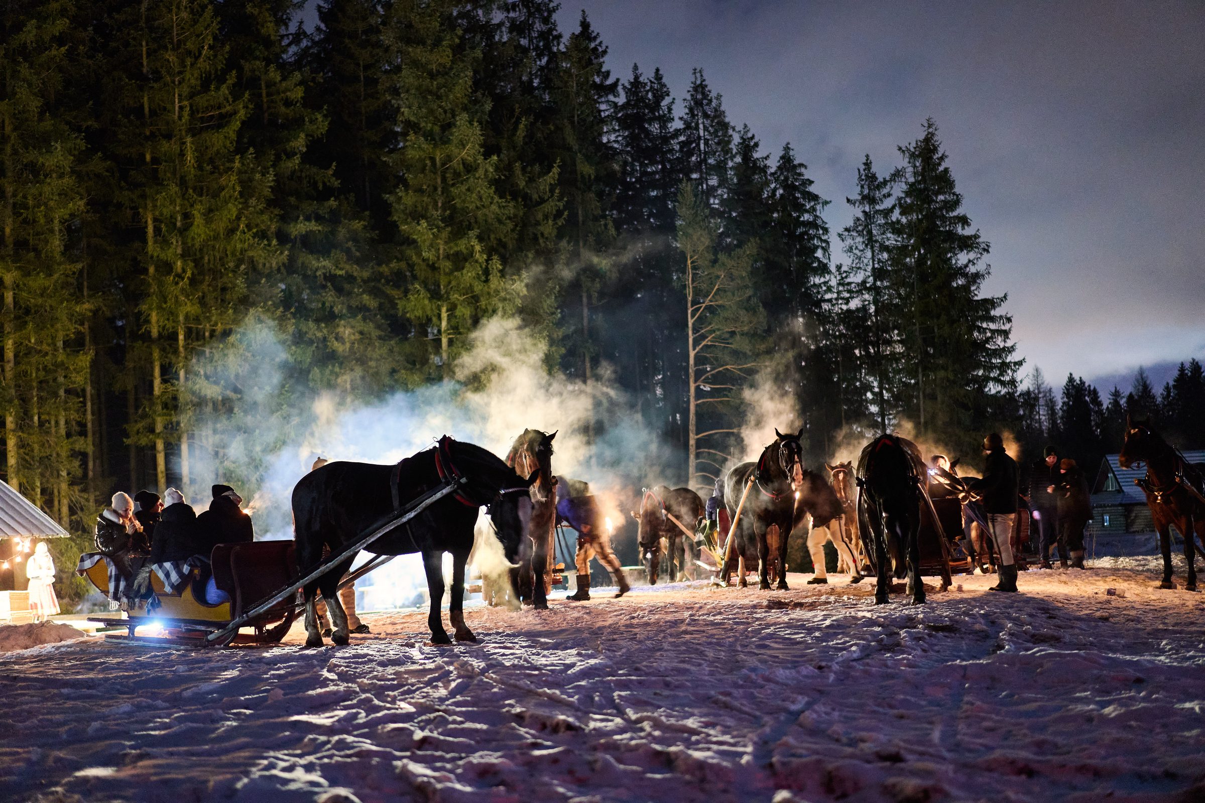 Kulig z pochodniami nocą w Dolinie Chochołowskiej - Kuligi.pl Zakopane